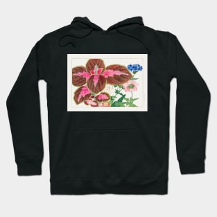 Vintage Coleus and Verbena Japanese Flower illustration Hoodie